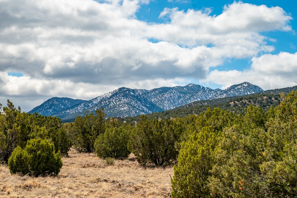 Tbd Hanuman Road Cerrillos, NM 87010 - Photo 2 of 33