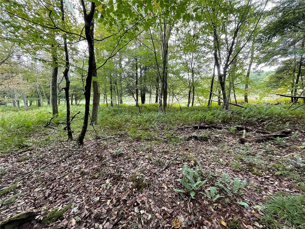 0 Newman Hill Road Callicoon, NY 12741 - Photo 1 of 1 Gallery Image 1