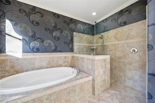 $4,500 | 19238 Climbing Aster Drive, Tampa, FL 33647