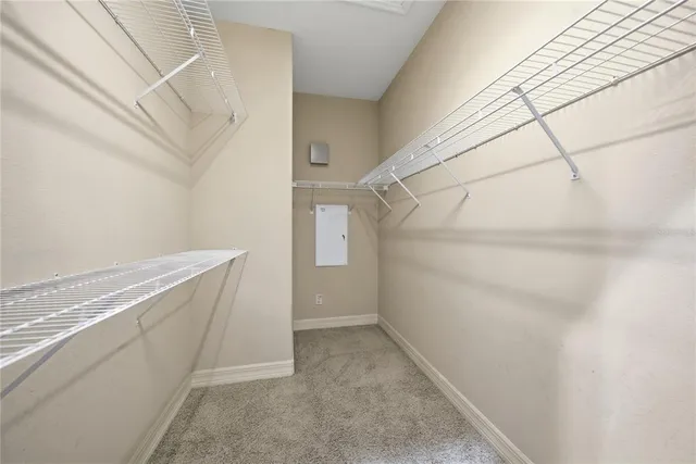 $4,500 | 19238 Climbing Aster Drive, Tampa, FL 33647