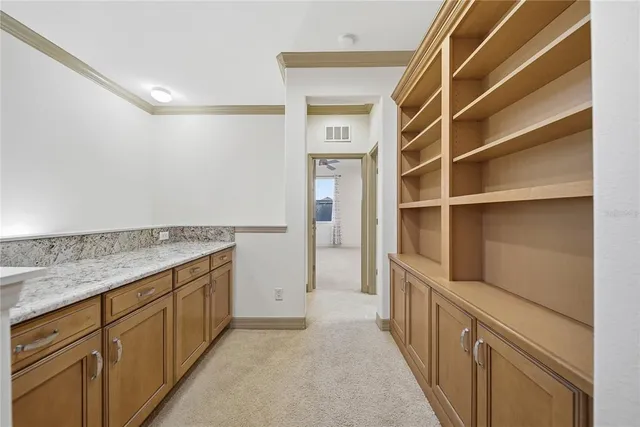 $4,500 | 19238 Climbing Aster Drive, Tampa, FL 33647