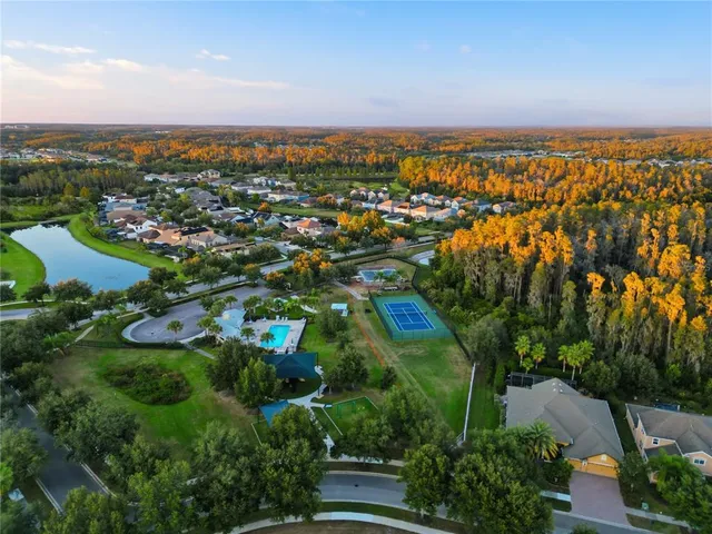 $4,500 | 19238 Climbing Aster Drive, Tampa, FL 33647