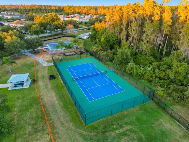 $4,500 | 19238 Climbing Aster Drive, Tampa, FL 33647