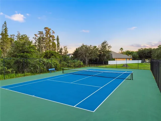 $4,500 | 19238 Climbing Aster Drive, Tampa, FL 33647