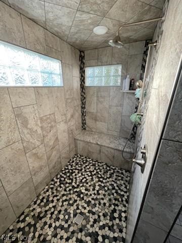 42204 Biggs Road Lagrange, OH 44050 - Photo 9 of 34 Primary Shower.