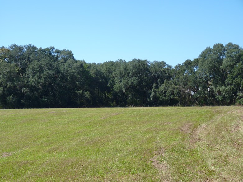 0 Pt Milligan Road, Unit NONE Quincy, FL 32352 - Photo 1 of 17 Gallery Image 1