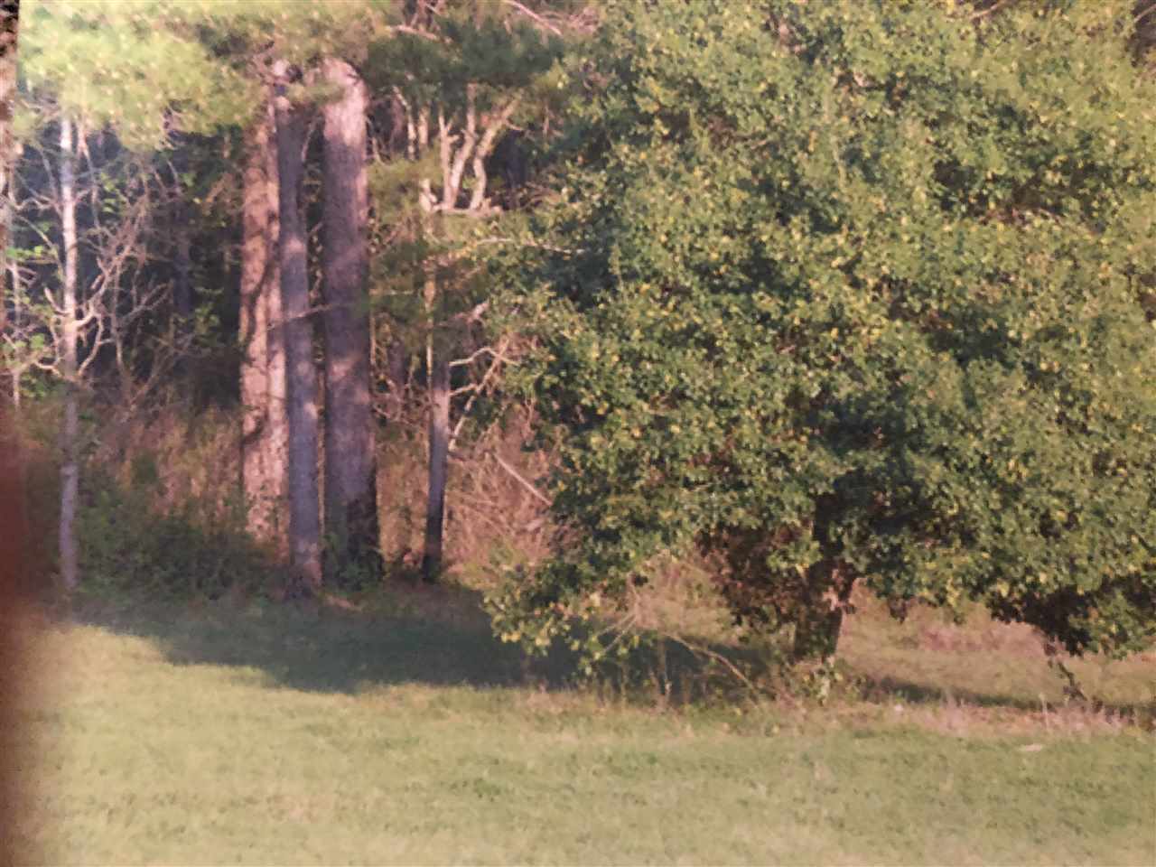 0 Pt Milligan Road, Unit NONE Quincy, FL 32352 - Photo 14 of 17 Gallery Image 14