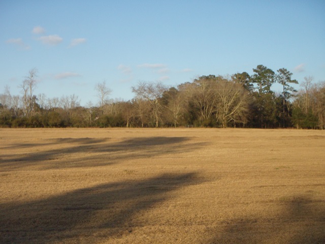 0 Pt Milligan Road, Unit NONE Quincy, FL 32352 - Photo 9 of 17 Gallery Image 9