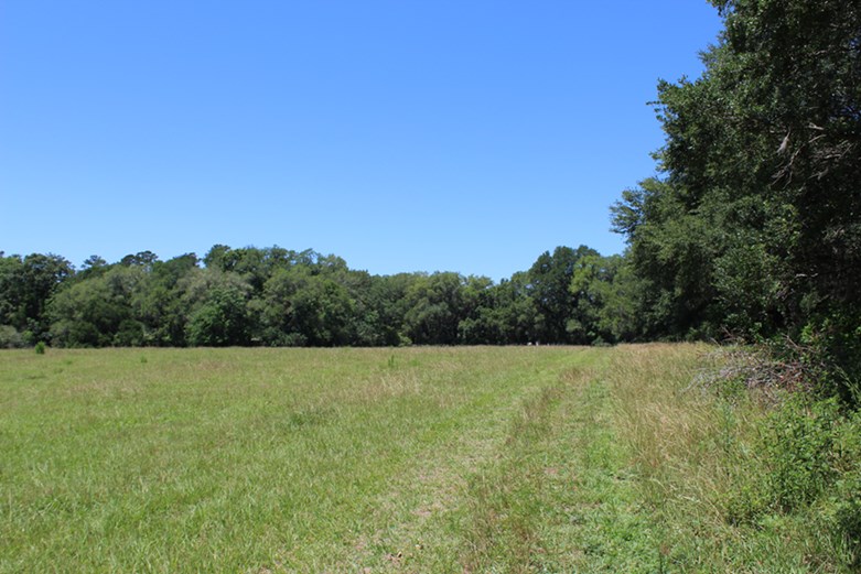 0 Pt Milligan Road, Unit NONE Quincy, FL 32352 - Photo 10 of 17 Gallery Image 10