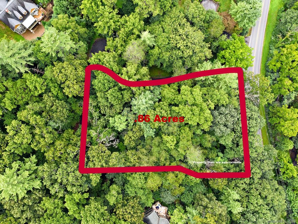 0 Beaverdam Road, Unit 3 Asheville, NC 28804 - Photo 1 of 10 Gallery Image 1