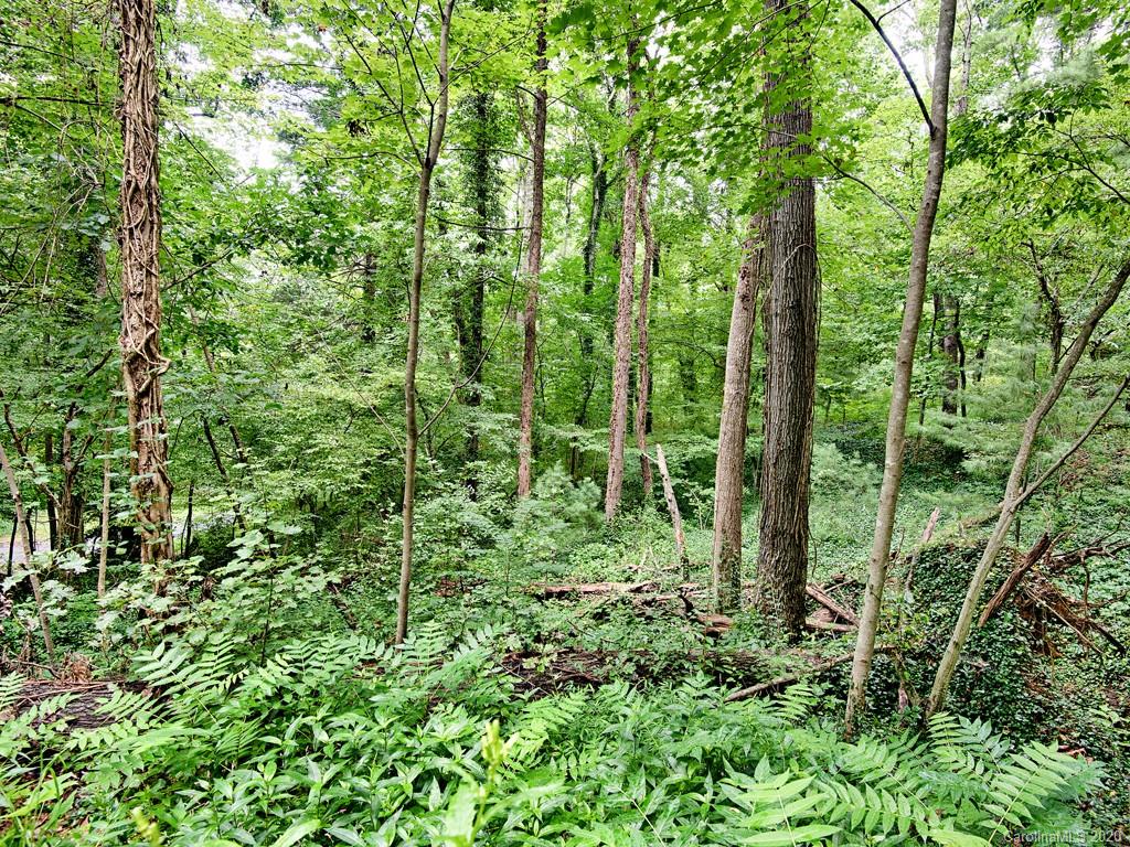 0 Beaverdam Road, Unit 3 Asheville, NC 28804 - Photo 7 of 10 Gallery Image 7