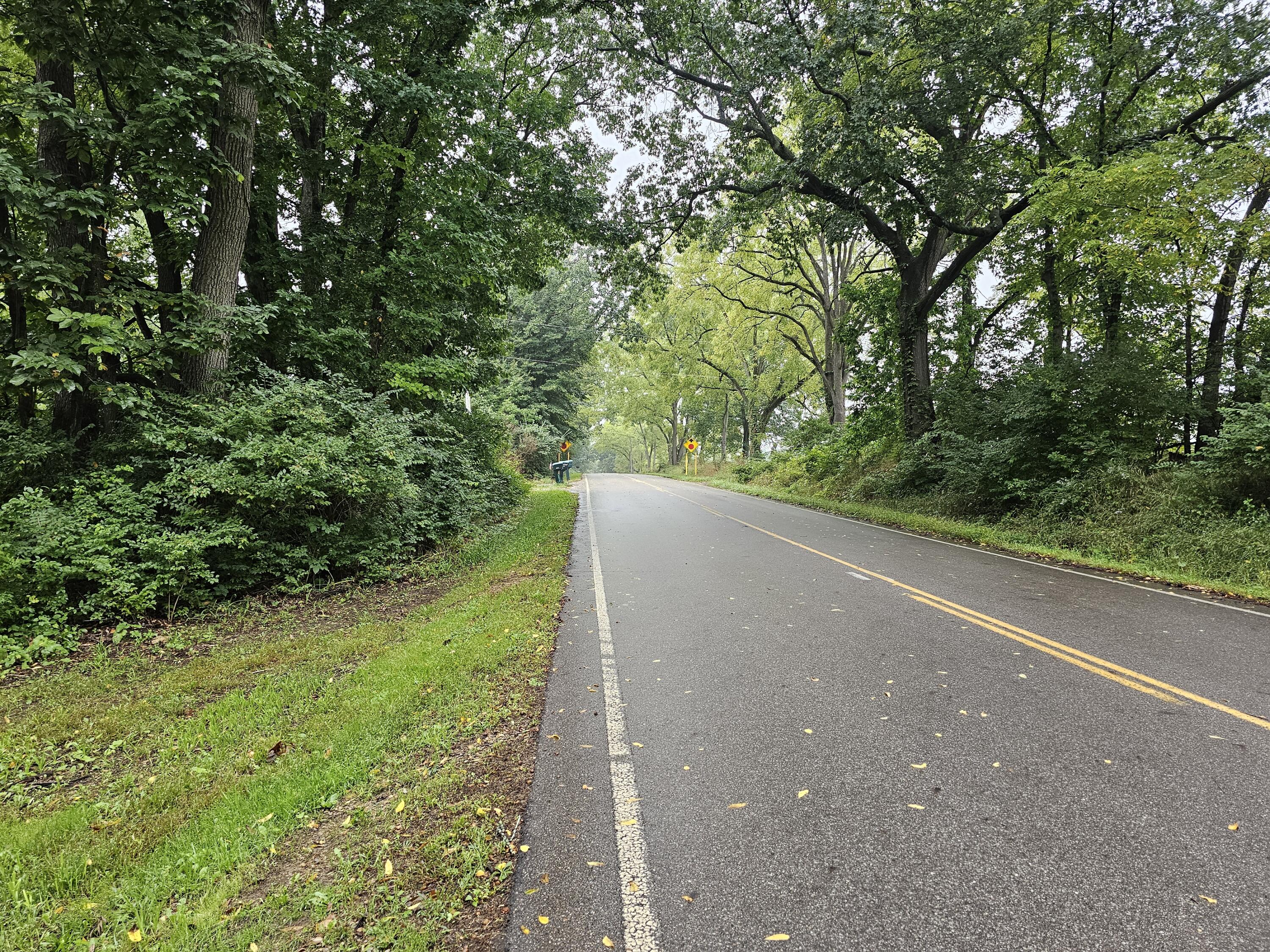 0 Vrooman Road Jackson, MI 49201 - Photo 24 of 27 Road view looking west