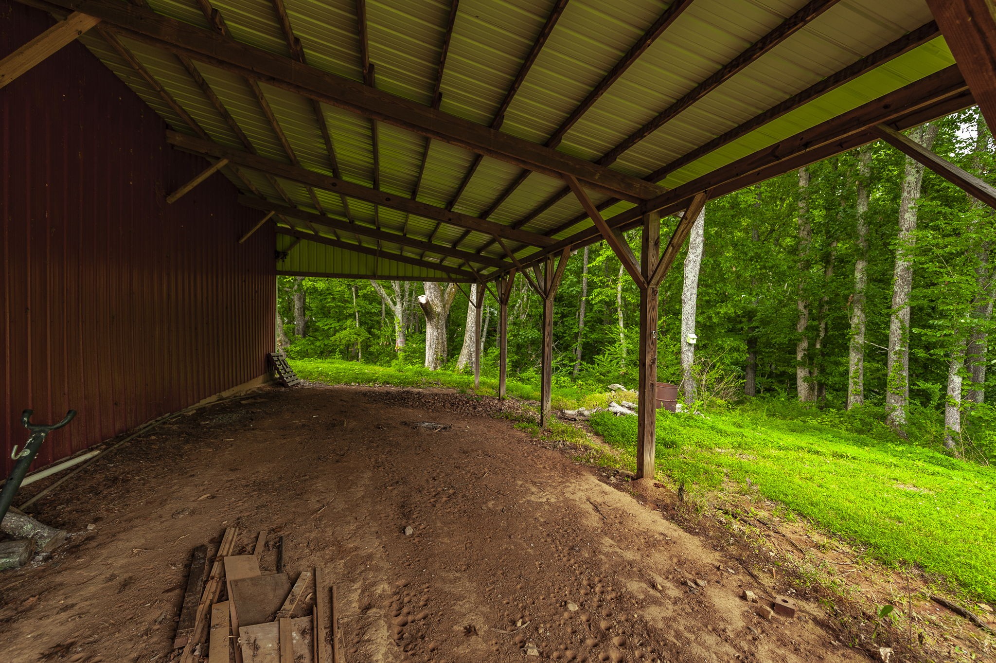 1113 East Robertson Road Castalian Springs, TN 37031 - Photo 36 of 56