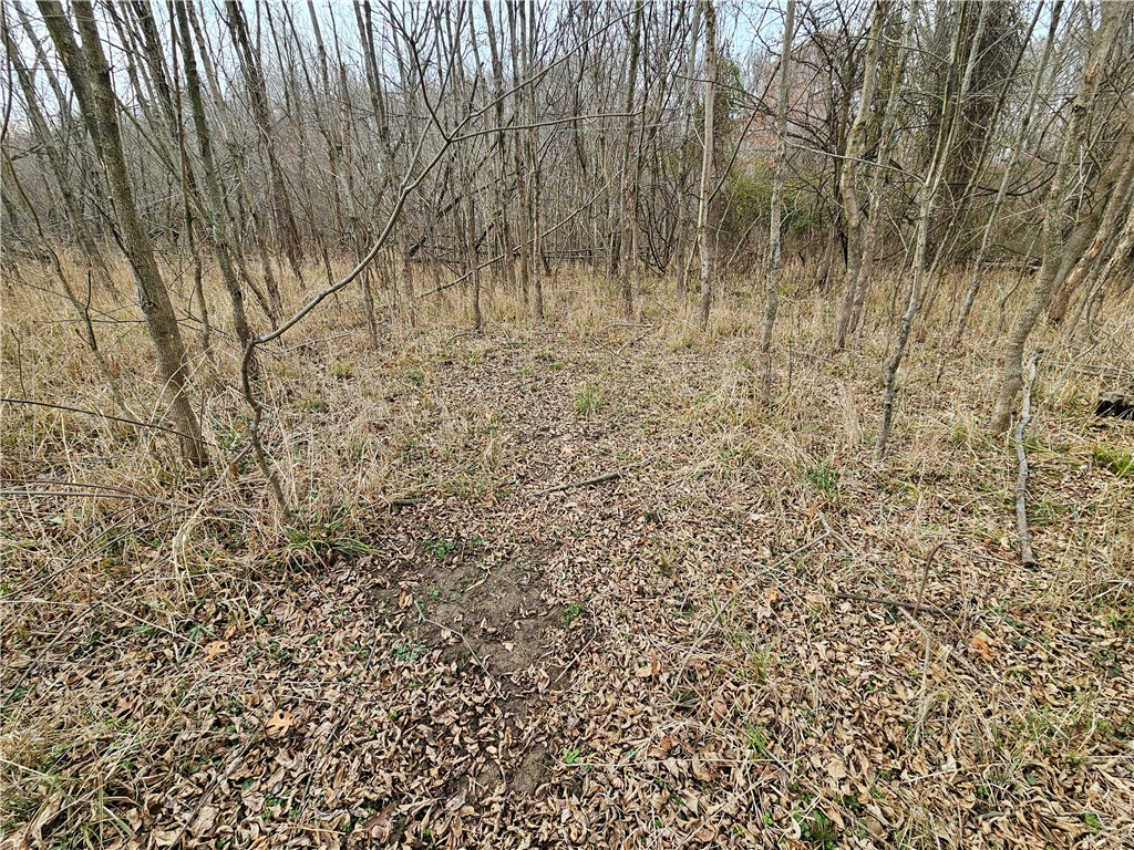 East Iron Bridge Road Marshall, IL 62441 - Photo 18 of 29 a view of small space with a tree