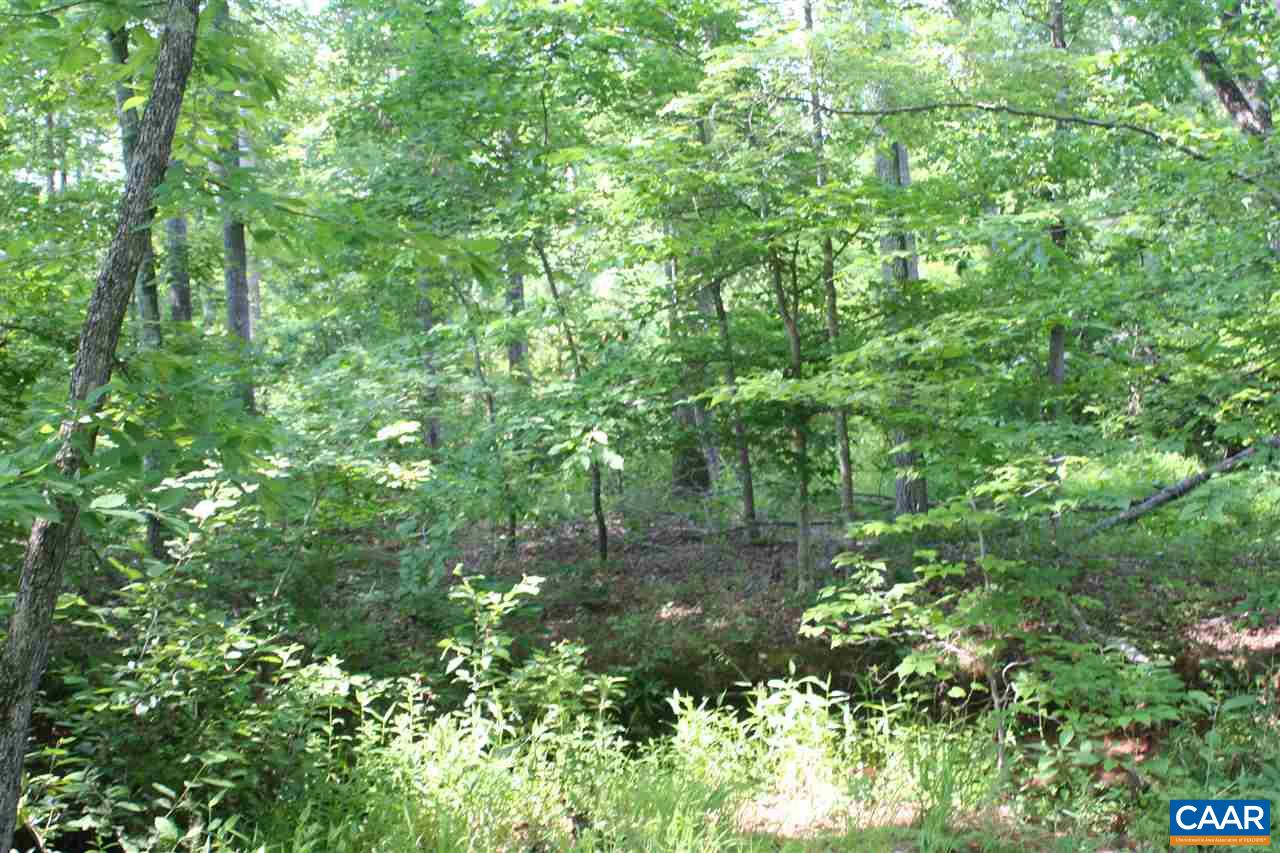 Tba Howardsville Road Howardsville, VA 24562 - Photo 15 of 23 a backyard of a house with lots of green space and garden