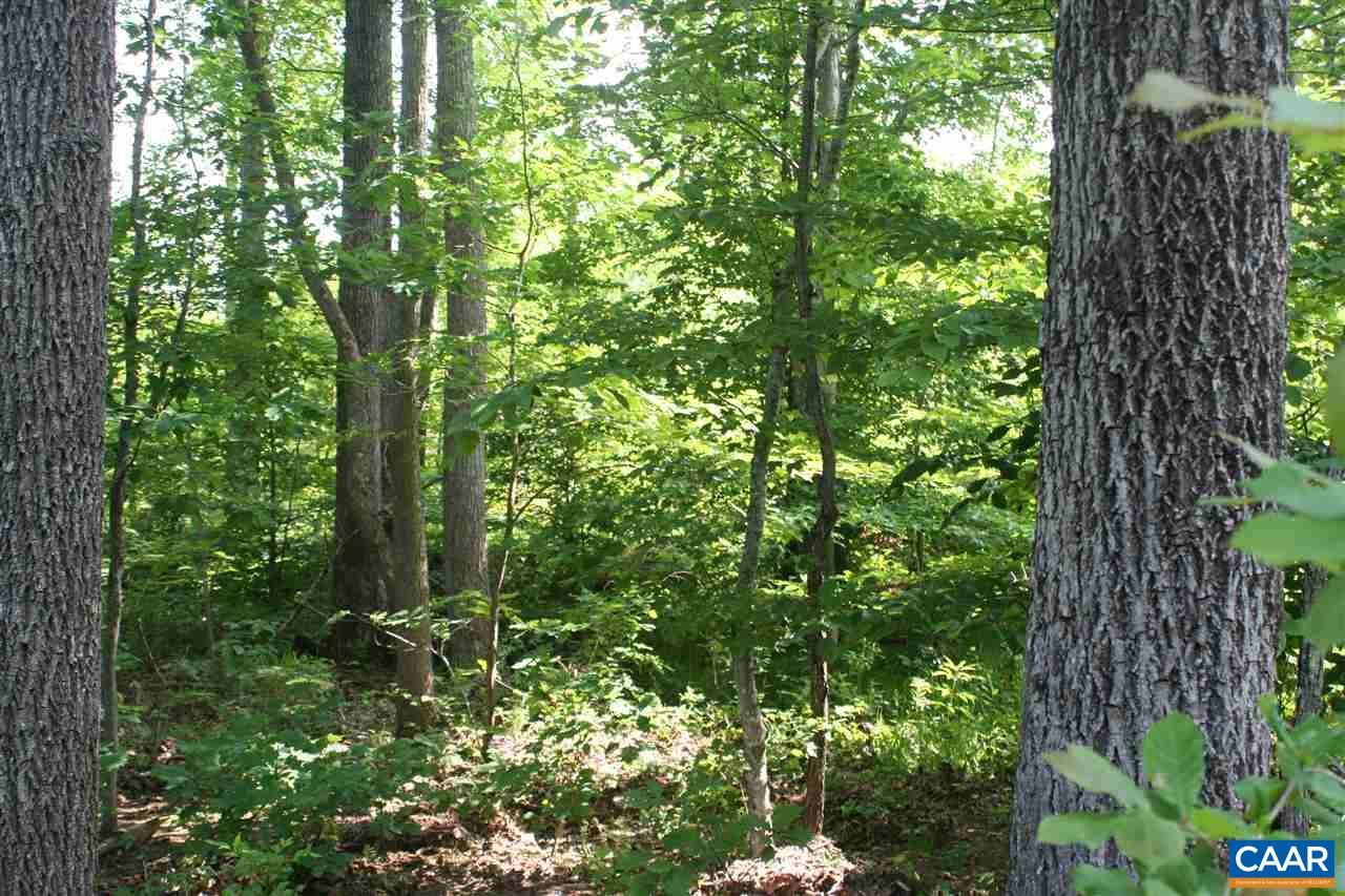 Tba Howardsville Road Howardsville, VA 24562 - Photo 4 of 23 a view of a lush green forest