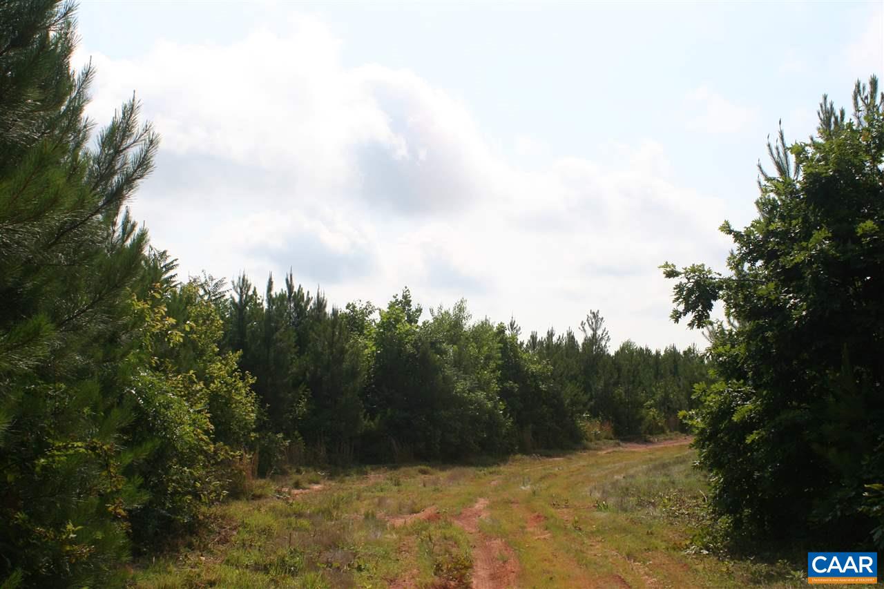 Tba Howardsville Road Howardsville, VA 24562 - Photo 5 of 23 a view of a yard