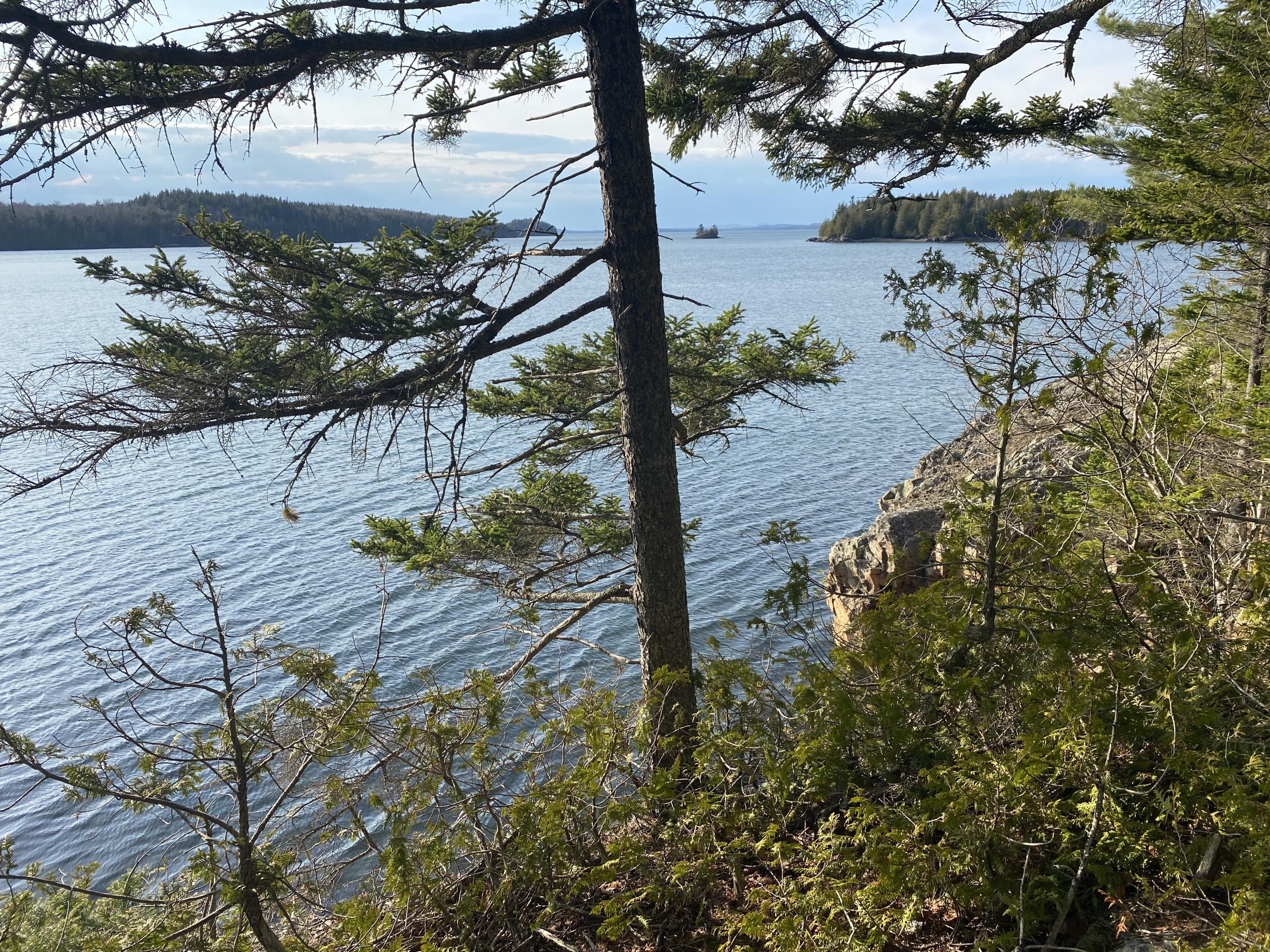 248 North Shr Road Lubec, ME 04652 - Photo 4 of 15 IMG_1417 2