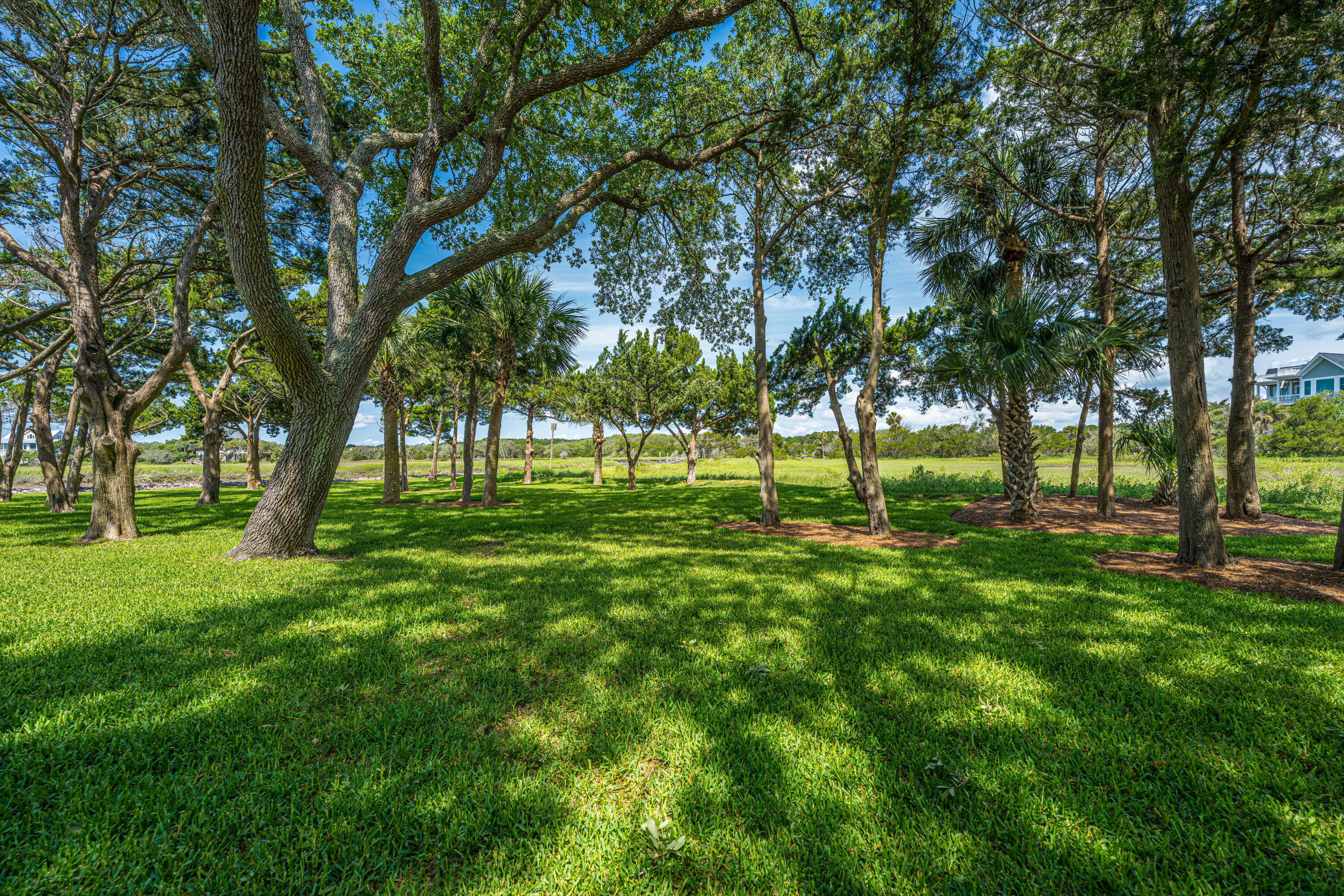 1 Inlet Point Road Edisto Island, SC 29438 - Photo 19 of 65 1InletPoint063