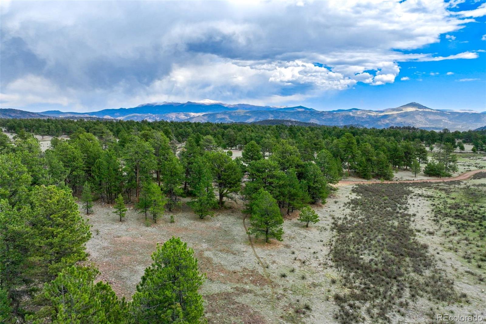 103 Doe Valley Road Guffey, CO 80820 - Photo 27 of 46