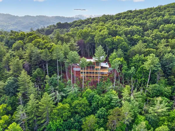 $2,899,000 | 3 C Stanley Creek Road, Cherry Log, GA 30522