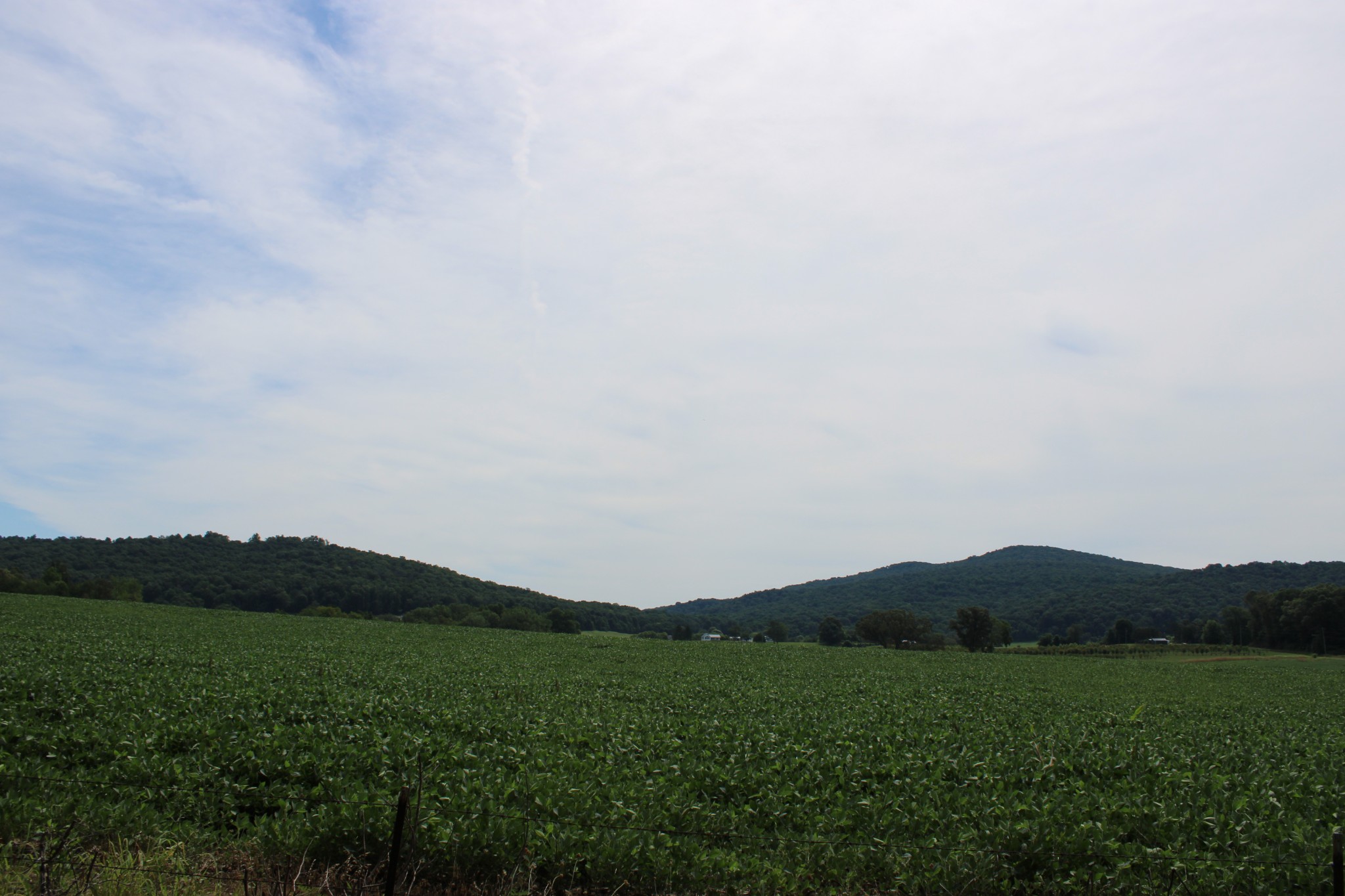 612 Bost Road McMinnville, TN 37110 - Photo 30 of 47