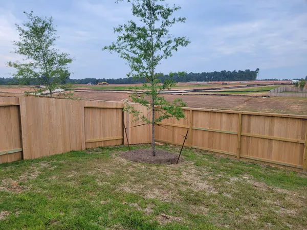 a view of a backyard with lake view and a large tree