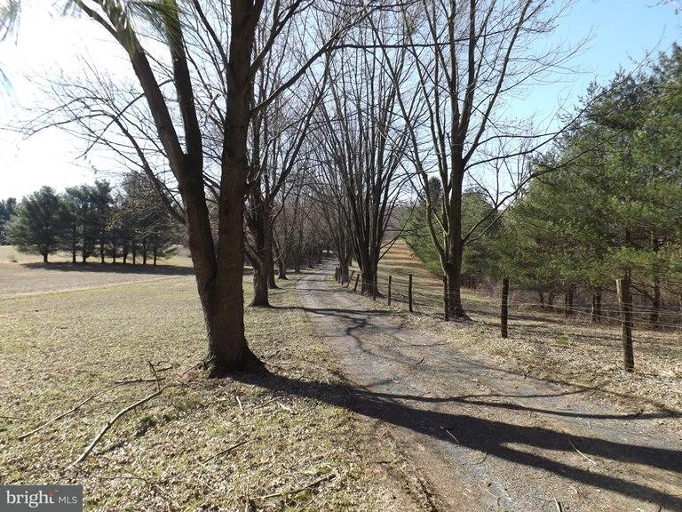 420 Swope Road Bethel, PA 19507 - Photo 22 of 36 Gallery Image 22