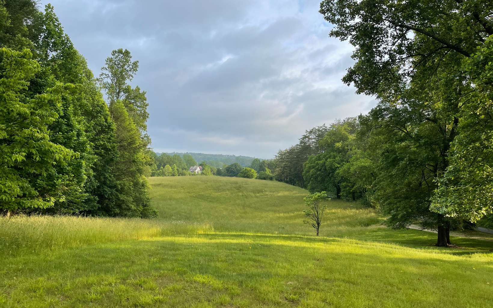 13 Ac South Road Morganton, GA 30560 - Photo 2 of 4 Additional View