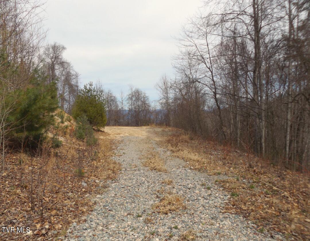 1012 Locust Lane Butler, TN 37640 - Photo 2 of 18 Lot40b