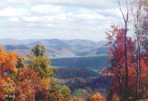 1012 Locust Lane Butler, TN 37640 - Photo 9 of 18 Lot40