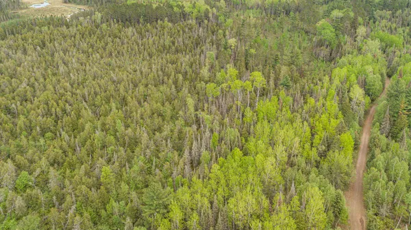 $45,000 | Tbd Tbd Victor Lake Road, Isabella, MN 55607