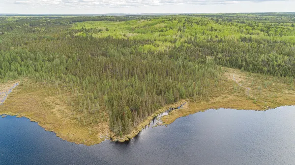 $45,000 | Tbd Tbd Victor Lake Road, Isabella, MN 55607