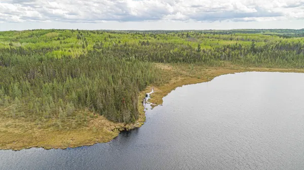 $45,000 | Tbd Tbd Victor Lake Road, Isabella, MN 55607