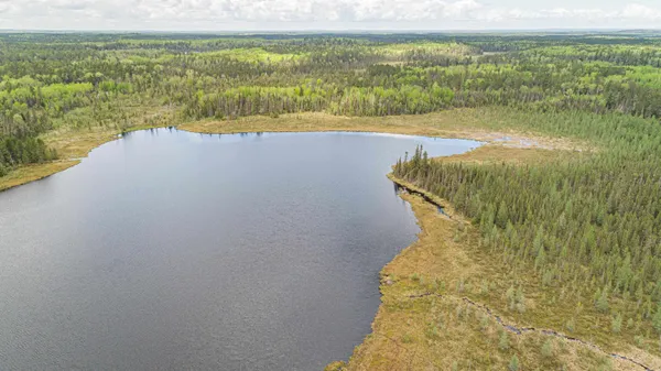 $45,000 | Tbd Tbd Victor Lake Road, Isabella, MN 55607