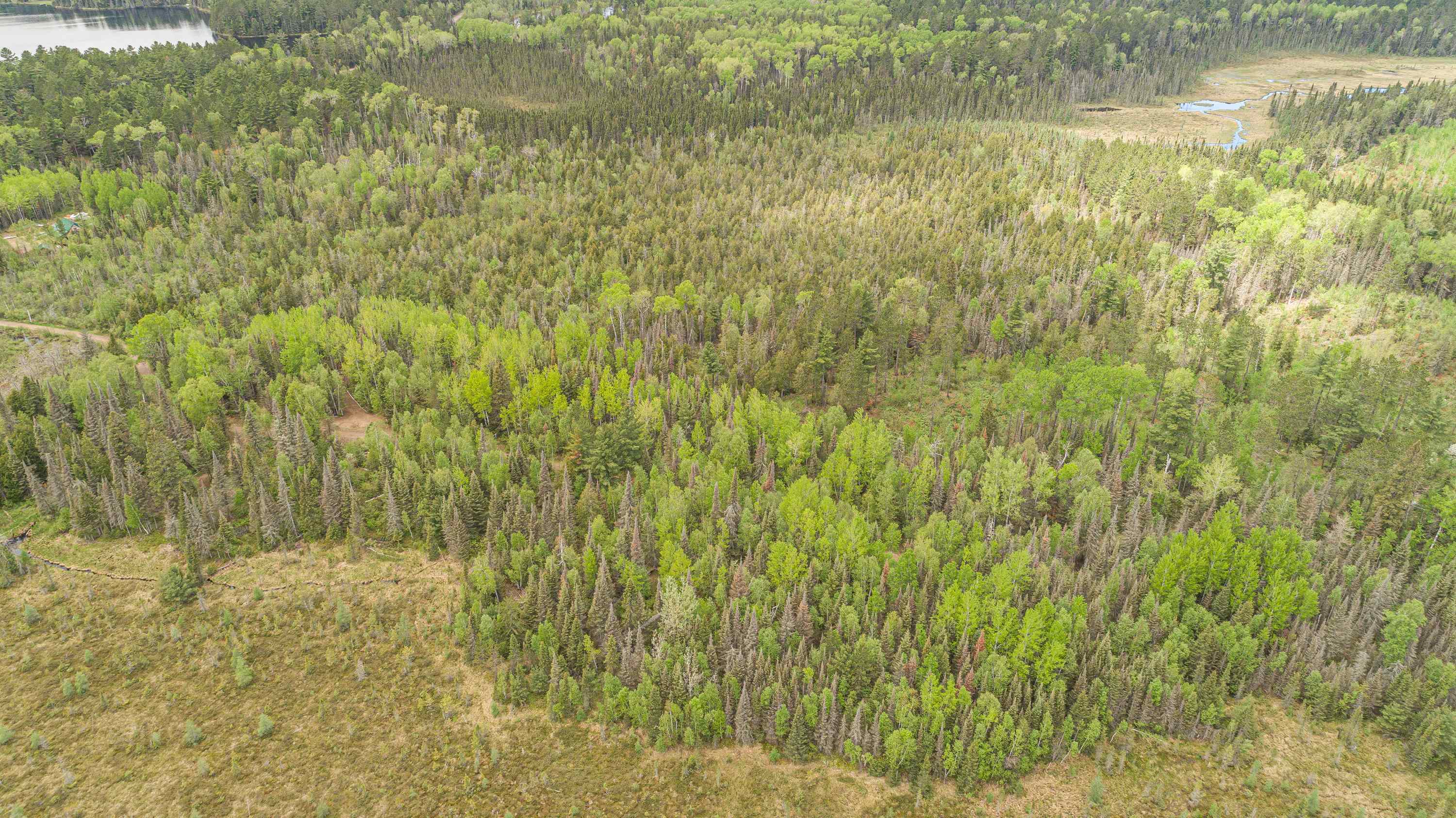 Tbd Tbd Victor Lake Road Isabella, MN 55607 - Photo 20 of 39