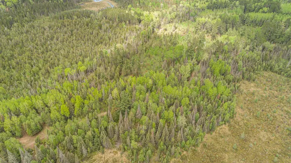 $45,000 | Tbd Tbd Victor Lake Road, Isabella, MN 55607