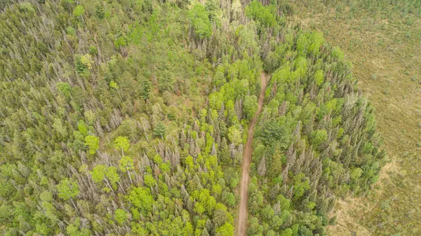 $45,000 | Tbd Tbd Victor Lake Road, Isabella, MN 55607