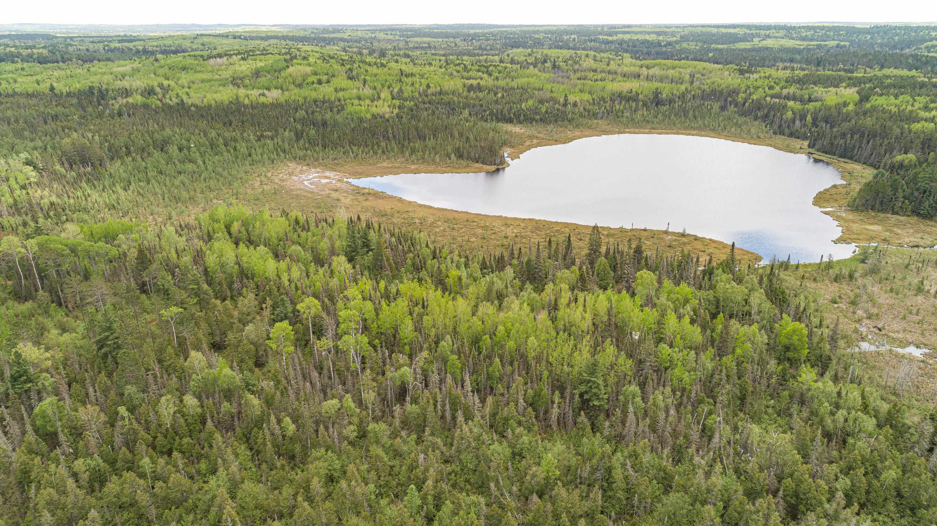 Tbd Tbd Victor Lake Road Isabella, MN 55607 - Photo 23 of 39
