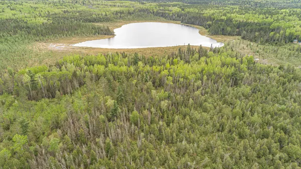 $45,000 | Tbd Tbd Victor Lake Road, Isabella, MN 55607