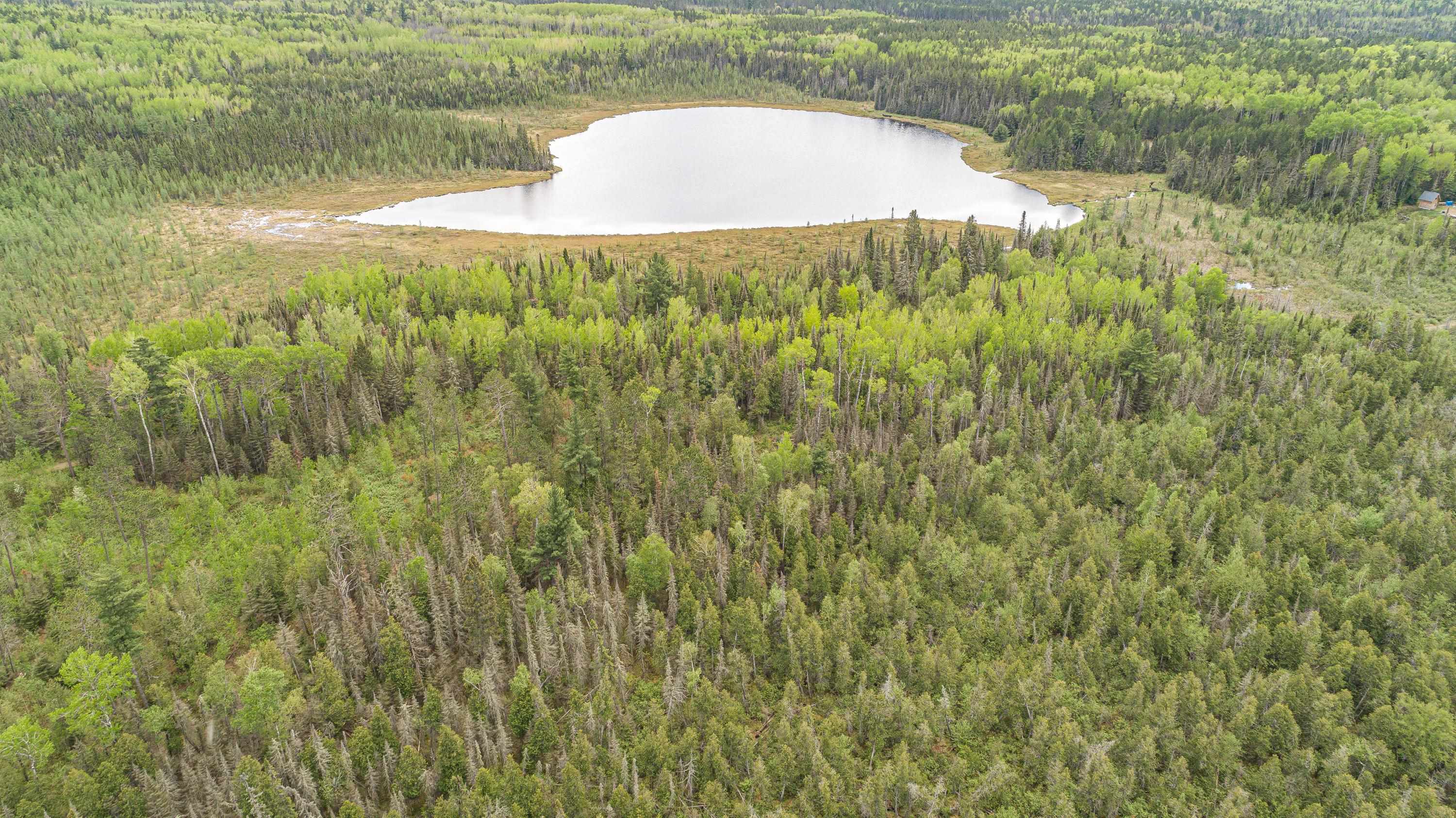 Tbd Tbd Victor Lake Road Isabella, MN 55607 - Photo 24 of 39