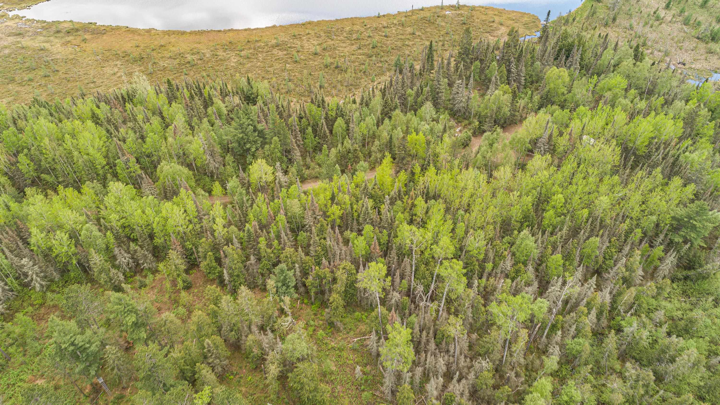 Tbd Tbd Victor Lake Road Isabella, MN 55607 - Photo 25 of 39