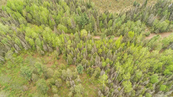 $45,000 | Tbd Tbd Victor Lake Road, Isabella, MN 55607