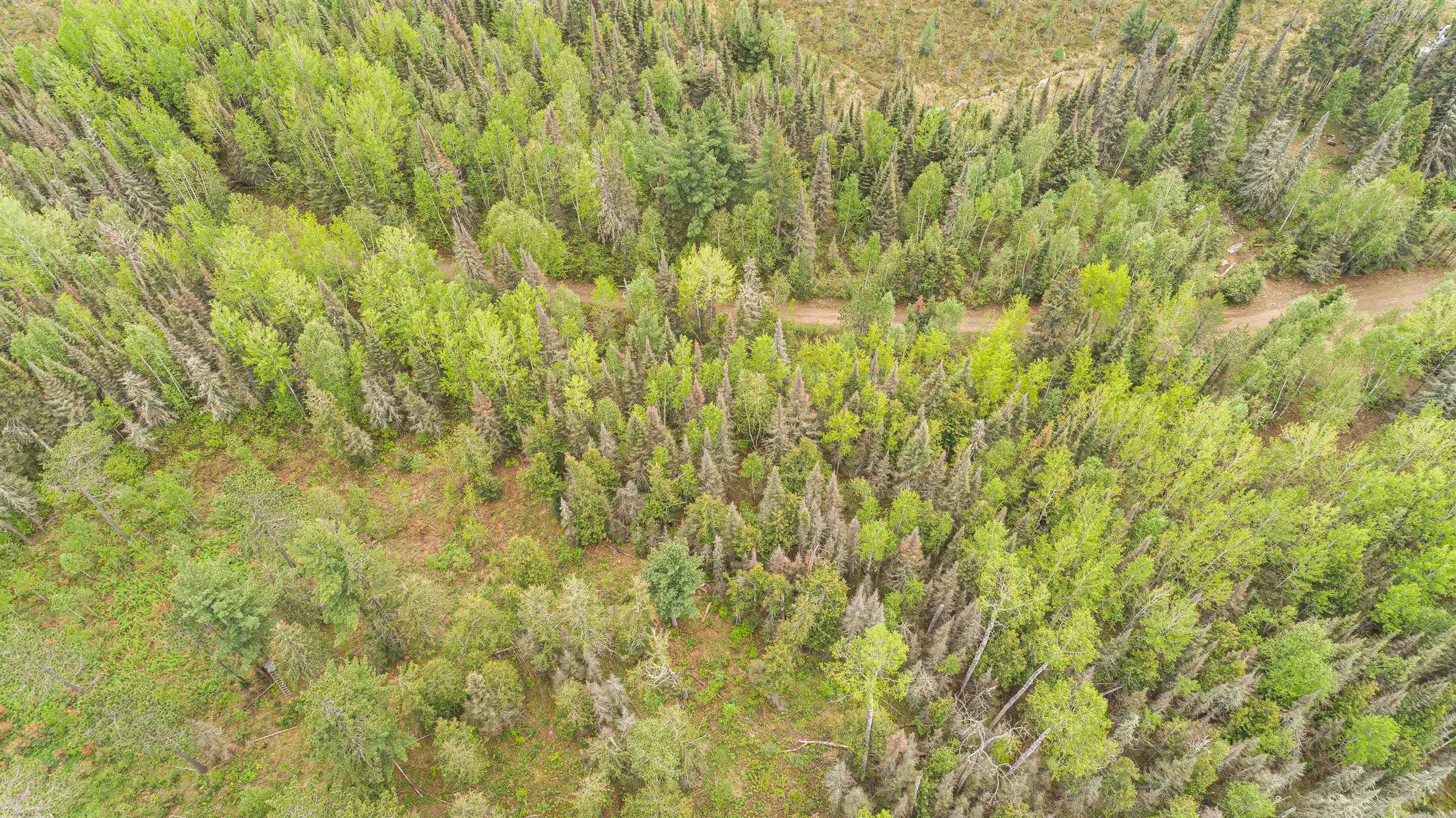 Tbd Tbd Victor Lake Road Isabella, MN 55607 - Photo 26 of 39