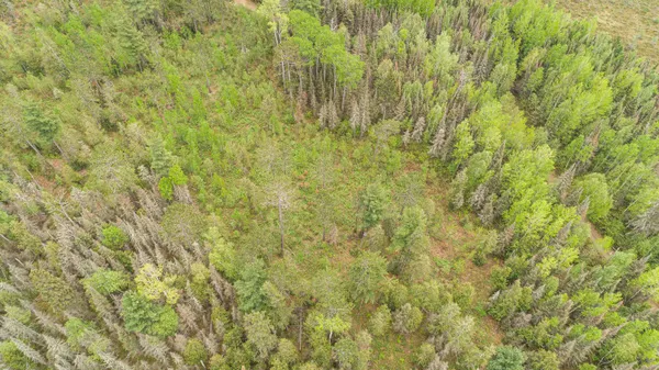 $45,000 | Tbd Tbd Victor Lake Road, Isabella, MN 55607