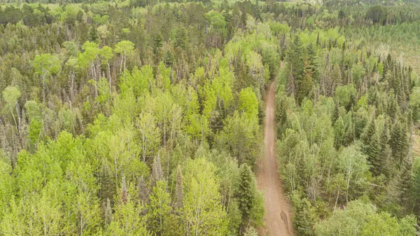 $45,000 | Tbd Tbd Victor Lake Road, Isabella, MN 55607