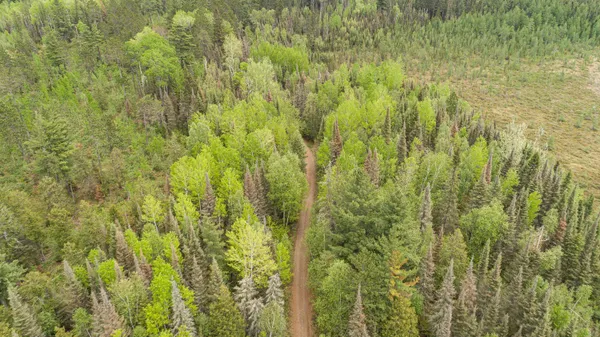 $45,000 | Tbd Tbd Victor Lake Road, Isabella, MN 55607