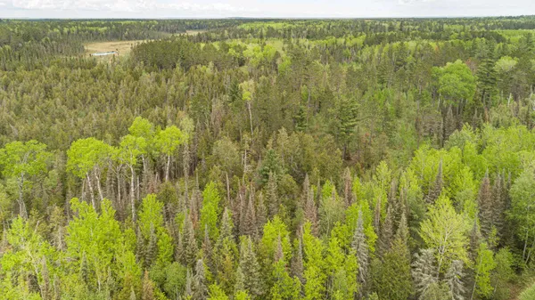 $45,000 | Tbd Tbd Victor Lake Road, Isabella, MN 55607