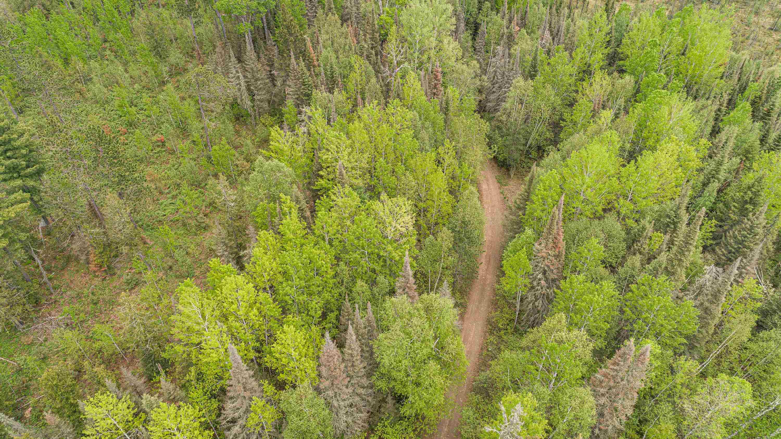 Tbd Tbd Victor Lake Road Isabella, MN 55607 - Photo 35 of 39