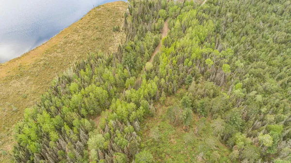 $45,000 | Tbd Tbd Victor Lake Road, Isabella, MN 55607